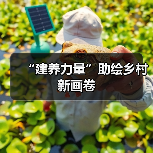 “建养力量”助绘乡村新画卷（图1）