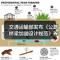 交通运输部发布《公路桥梁加固设计规范》等3项公路桥梁技术规范（图4）