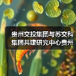 贵州交投集团与苏交科集团共建研究中心贵州分中心揭牌（图）（图4）