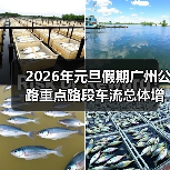 2026年元旦假期广州公路重点路段车流总体增加，路网运行平稳有序（图）（图3）