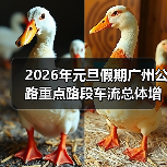 2026年元旦假期广州公路重点路段车流总体增加，路网运行平稳有序（图）（图1）