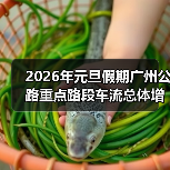 2026年元旦假期广州公路重点路段车流总体增加，路网运行平稳有序（图）（图2）