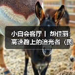 小白会客厅丨 胡佳丽：高速路上的追光者（图）（图1）