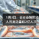 1月3日，全社会跨区域人员流动量超2亿人次（图2）