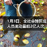 1月3日，全社会跨区域人员流动量超2亿人次（图3）