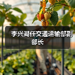 李兴湖任交通运输部副部长（图3）