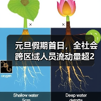 元旦假期首日，全社会跨区域人员流动量超2亿人次（图3）