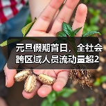元旦假期首日，全社会跨区域人员流动量超2亿人次（图4）