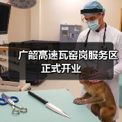 广韶高速瓦窑岗服务区正式开业（图4）