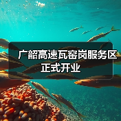 广韶高速瓦窑岗服务区正式开业（图1）