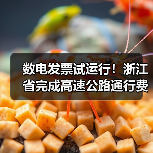 数电发票试运行！浙江省完成高速公路通行费电子发票系统改造（图4）