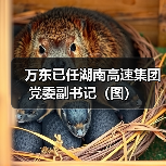 万东已任湖南高速集团党委副书记（图）（图4）