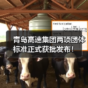 青岛高速集团两项团体标准正式获批发布!(图4) 青岛高速集团两项团体标准正式获批发布!(图4)