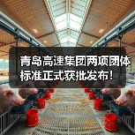 青岛高速集团两项团体标准正式获批发布!(图2) 青岛高速集团两项团体标准正式获批发布!(图2)