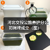 河北交投公路养护分公司揭牌成立（图）（图1）