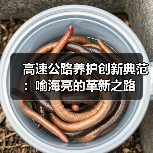 高速公路养护创新典范:喻海亮的革新之路(图2) 高速公路养护创新典范:喻海亮的革新之路(图2)