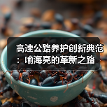 高速公路养护创新典范:喻海亮的革新之路(图4) 高速公路养护创新典范:喻海亮的革新之路(图4)