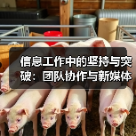信息工作中的坚持与突破:团队协作与新媒体传播(图2) 信息工作中的坚持与突破:团队协作与新媒体传播(图2)