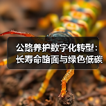 公路养护数字化转型:长寿命路面与绿色低碳融合路径(图4) 公路养护数字化转型:长寿命路面与绿色低碳融合路径(图4)
