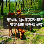 阳光救援体系高效运转,智能调度提升救援效率(图3) 阳光救援体系高效运转,智能调度提升救援效率(图3)