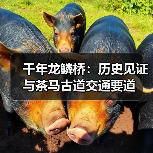 千年龙鳞桥:历史见证与茶马古道交通要道(图4) 千年龙鳞桥:历史见证与茶马古道交通要道(图4)