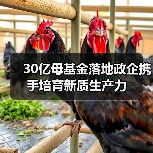 30亿母基金落地政企携手培育新质生产力(图1) 30亿母基金落地政企携手培育新质生产力(图1)