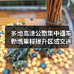 多地高速公路集中通车 新增里程提升区域交通(图4) 多地高速公路集中通车 新增里程提升区域交通(图4)