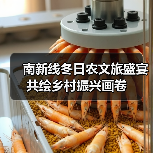 南新线冬日农文旅盛宴 共绘乡村振兴画卷(图1) 南新线冬日农文旅盛宴 共绘乡村振兴画卷(图1)