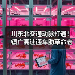川东北交通动脉打通!镇广高速通车助革命老区振兴(图1) 川东北交通动脉打通!镇广高速通车助革命老区振兴(图1)