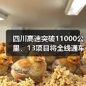 四川高速突破11000公里,13项目将全线通车(图1) 四川高速突破11000公里,13项目将全线通车(图1)