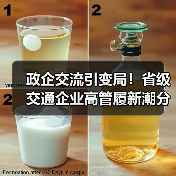 政企交流引变局!省级交通企业高管履新潮分析(图4) 政企交流引变局!省级交通企业高管履新潮分析(图4)