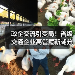 政企交流引变局!省级交通企业高管履新潮分析(图3) 政企交流引变局!省级交通企业高管履新潮分析(图3)