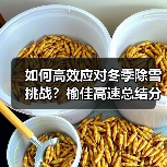 如何高效应对冬季除雪挑战?榆佳高速总结分析会议揭示关键策略(图2) 如何高效应对冬季除雪挑战?榆佳高速总结分析会议揭示关键策略(图2)