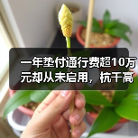 一年垫付通行费超10万元却从未启用,杭千高速这份信任如何破圈?(图1) 一年垫付通行费超10万元却从未启用,杭千高速这份信任如何破圈?(图1)
