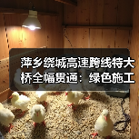 萍乡绕城高速跨线特大桥全幅贯通:绿色施工如何攻克复杂地质难题?(图1) 萍乡绕城高速跨线特大桥全幅贯通:绿色施工如何攻克复杂地质难题?(图1)