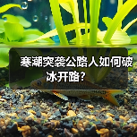 寒潮突袭公路人如何破冰开路?(图3) 寒潮突袭公路人如何破冰开路?(图3)