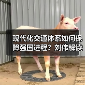 现代化交通体系如何保障强国进程?刘伟解读关键部署(图4) 现代化交通体系如何保障强国进程?刘伟解读关键部署(图4)