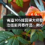 省道305线营渠大桥整治摄影月赛作品:揪心桥变安心路(图1) 省道305线营渠大桥整治摄影月赛作品:揪心桥变安心路(图1)