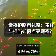 雪夜护路者礼赞：责任与担当如何点亮寒夜？（图1）