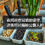 夜间巡查背后的坚守,这些照片揭秘公路人的深夜工作(图2) 夜间巡查背后的坚守,这些照片揭秘公路人的深夜工作(图2)