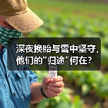 深夜换胎与雪中坚守,他们的 深夜换胎与雪中坚守,他们的