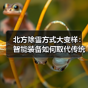 北方除雪方式大变样：智能装备如何取代传统手段？（图1）