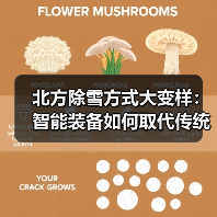 北方除雪方式大变样：智能装备如何取代传统手段？（图3）