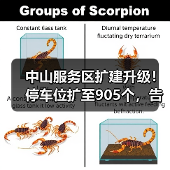 中山服务区扩建升级！停车位扩至905个，告别拥堵（图2）