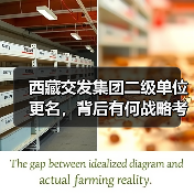 西藏交发集团二级单位更名，背后有何战略考量？（图3）