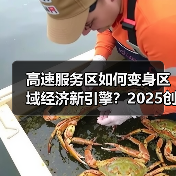 高速服务区如何变身区域经济新引擎?2025创新实践解码(图2) 高速服务区如何变身区域经济新引擎?2025创新实践解码(图2)