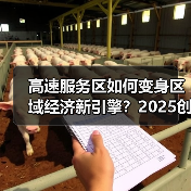 高速服务区如何变身区域经济新引擎?2025创新实践解码(图3) 高速服务区如何变身区域经济新引擎?2025创新实践解码(图3)