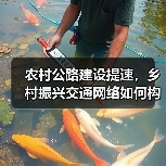 农村公路建设提速，乡村振兴交通网络如何构建？（图2）