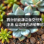 百台新能源设备交付天津港 启动绿色运输新纪元(图4) 百台新能源设备交付天津港 启动绿色运输新纪元(图4)