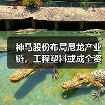 神马股份布局尼龙产业链,工程塑料或成全资子公司(图3) 神马股份布局尼龙产业链,工程塑料或成全资子公司(图3)